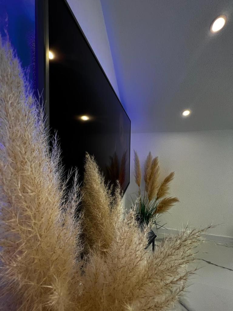 Luxury Apartment Megy 오토칵 외부 사진